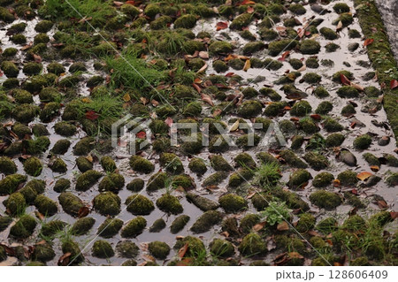 水のない川 128606409