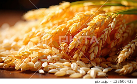 《AI画像》収穫した稲穂 128606435
