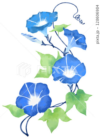 水彩画タッチの朝顔イラスト	 128606984