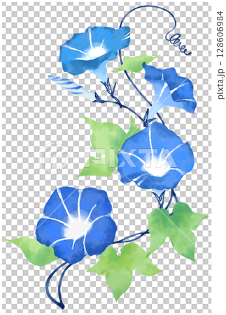 水彩画タッチの朝顔イラスト	 128606984