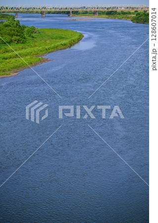 利根川　昭和橋から下流の眺め　初夏の風景　 128607014