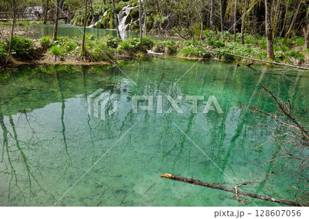 spectacular waterfalls and lakes of Plitvice Lakes National Park, in Croatia 128607056