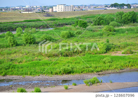利根川 昭和橋から下流の眺め 初夏の風景 利根川 昭和橋から下流の眺め 初夏の風景 128607096