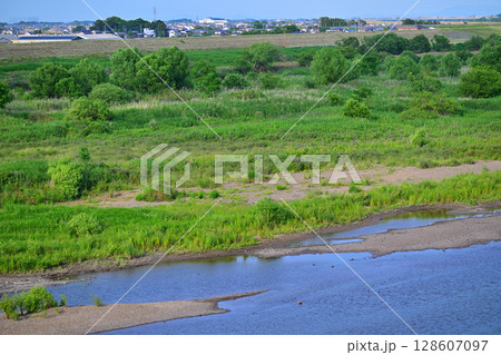利根川 昭和橋から下流の眺め 初夏の風景 利根川 昭和橋から下流の眺め 初夏の風景 128607097