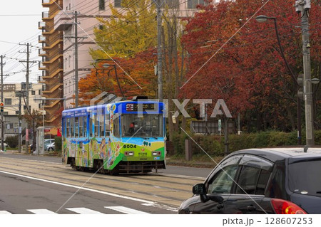 【ロゴ運転手ぼかし済】紅葉する函館遺愛女子高校前を通過する路面電車 【ロゴ運転手ぼかし済】紅葉する函館遺愛女子高校前を通過する路面電車 128607253