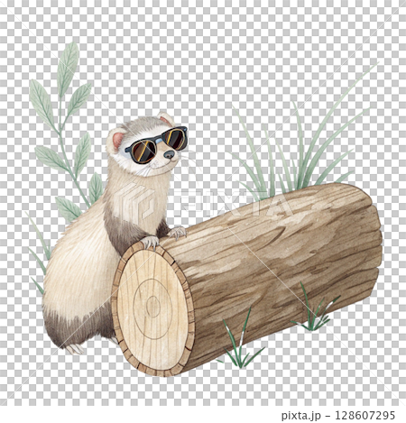 A cut down log  the cutest animal in the world wearing sunglasses Clipart Watercolor  128607295