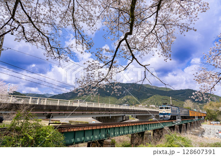 静岡県家山 満開の桜と大井川鐵道の家山橋を通過する鉄道列車 静岡県家山 満開の桜と大井川鐵道の家山橋を通過する鉄道列車 128607391