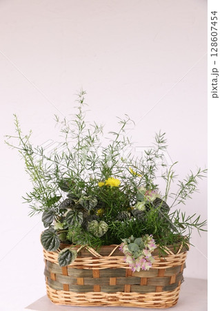 寄せ植え 128607454