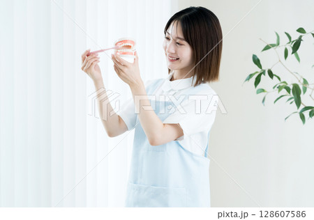 歯ブラシと歯の模型を持つ歯科スタッフの女性 128607586