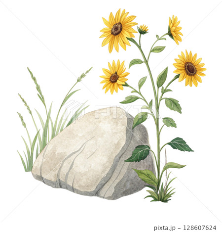 Rocks flowers minimalist Clipart watercolor  128607624