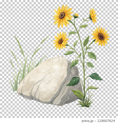 Rocks flowers minimalist Clipart watercolor  128607624