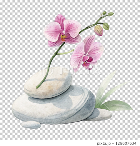 Rocks flowers minimalist Clipart watercolor  128607634