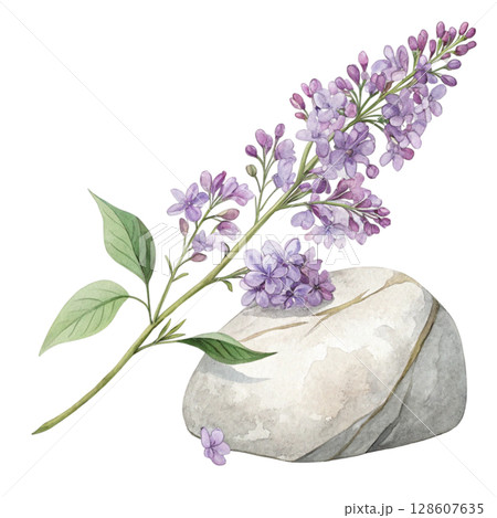 Rocks flowers minimalist Clipart watercolor  128607635