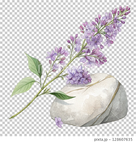 Rocks flowers minimalist Clipart watercolor  128607635