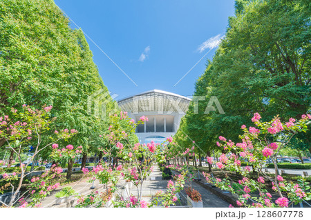 「埼玉県」埼玉スタジアム2002と公園の夏風景　 128607778