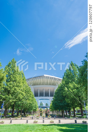 「埼玉県」埼玉スタジアム2002と公園の夏風景 「埼玉県」埼玉スタジアム2002と公園の夏風景 128607797