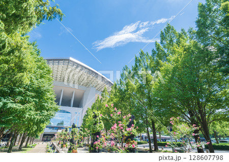 「埼玉県」埼玉スタジアム2002と公園の夏風景　 128607798