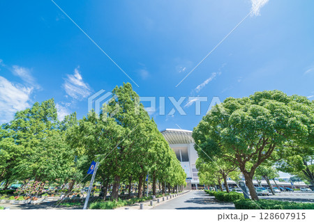 「埼玉県」埼玉スタジアム2002と公園の夏風景 「埼玉県」埼玉スタジアム2002と公園の夏風景 128607915