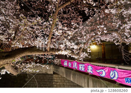 神奈川県 麻生川の夜桜 神奈川県 麻生川の夜桜 128608260