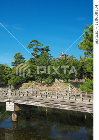 島根県松江市の春の国宝松江城と堀川 128609534