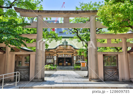 坐摩神社の紫陽花 坐摩神社の紫陽花 128609785