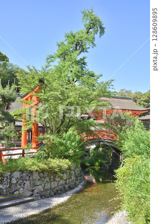下鴨神社の御手洗川 128609895