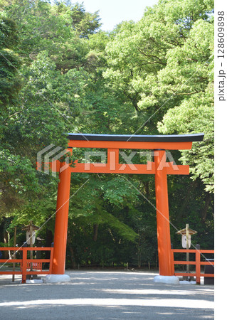 下鴨神社の鳥居 128609898