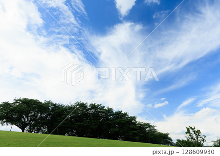 夏空と緑の木々が広がる爽やかな風景写真 夏空と緑の木々が広がる爽やかな風景写真 128609930