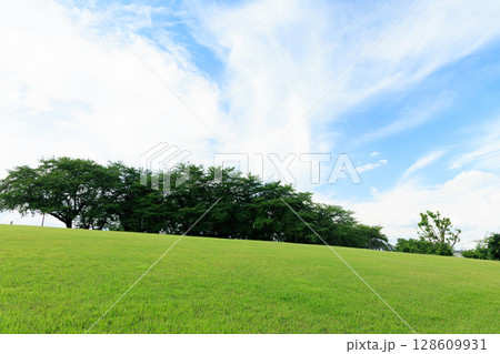 青空と広がる芝生が美しい夏の自然風景 128609931