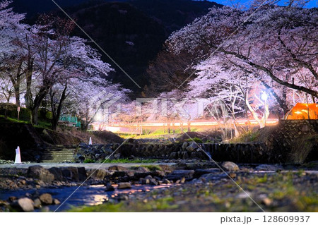 夜桜 夜桜 128609937