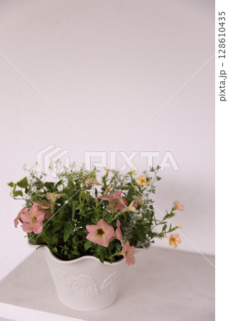 寄せ植え 寄せ植え 128610435