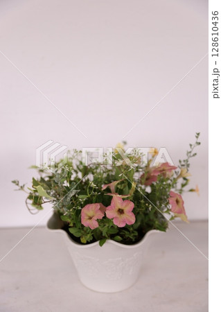 寄せ植え 128610436
