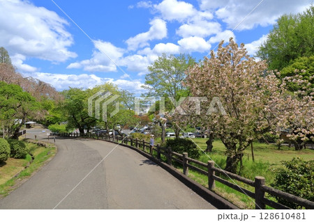 宮城県・塩釜市・塩竈神社 宮城県・塩釜市・塩竈神社 128610481