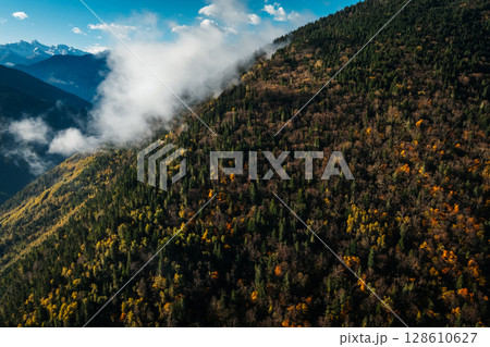 Aerial view of beautiful autumn forest landscape and snow capped mountains Aerial view of beautiful autumn forest landscape and snow capped mountains 128610627