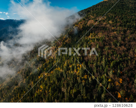 Aerial view of beautiful autumn forest landscape and snow capped mountains 128610628