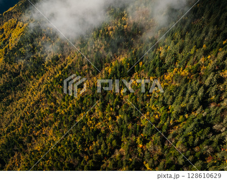 Aerial view of beautiful autumn forest landscape in sunrise Aerial view of beautiful autumn forest landscape in sunrise 128610629