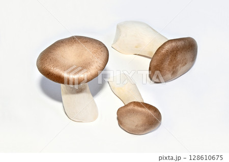 きのこ(エリンギ) きのこ(エリンギ) 128610675