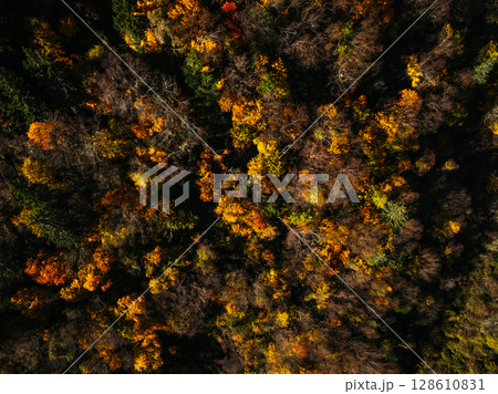 Aerial view of beautiful autumn forest landscape Aerial view of beautiful autumn forest landscape 128610831