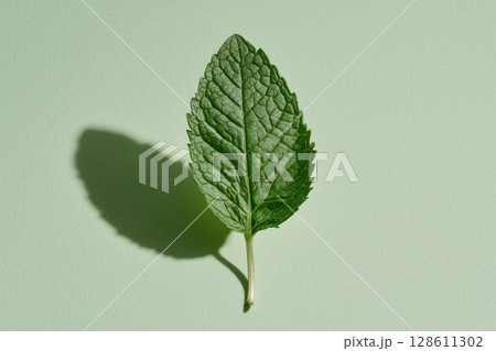 Fresh Mint Leaf on Soft Green Background Fresh Mint Leaf on Soft Green Background 128611302