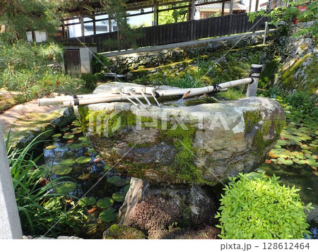 山口県山口市香山町にある曹洞宗の寺院で当初は香積寺、その後、仁保小高野から移設された瑠璃光寺 山口県山口市香山町にある曹洞宗の寺院で当初は香積寺、その後、仁保小高野から移設された瑠璃光寺 128612464