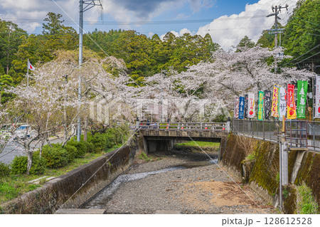 森町の遠江国一宮小國神社の桜の風景(静岡県) 森町の遠江国一宮小國神社の桜の風景(静岡県) 128612528