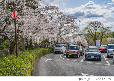 森町の遠江国一宮小國神社の桜の風景(静岡県) 128613229