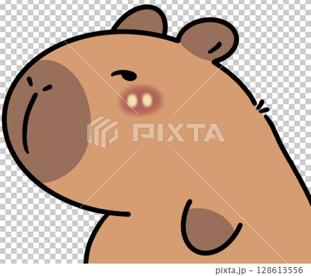 Capybara Capybara 128613556