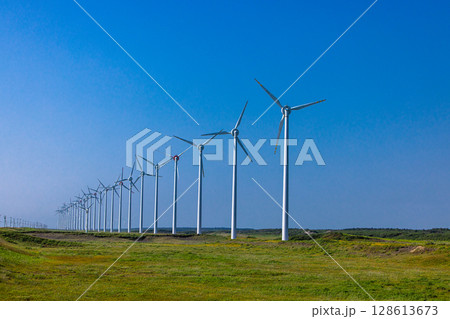 【北海道_オロロンライン】オトンルイ風力発電所と満開のエゾカンゾウ 128613673