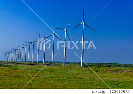 【北海道_オロロンライン】オトンルイ風力発電所と満開のエゾカンゾウ 128613676