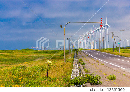 【北海道_オロロンライン】オトンルイ風力発電所と満開のエゾカンゾウ 【北海道_オロロンライン】オトンルイ風力発電所と満開のエゾカンゾウ 128613694