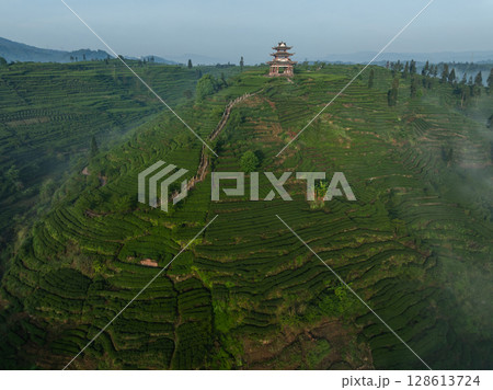 Aerial view of beautiful tea terrace landscape in China Aerial view of beautiful tea terrace landscape in China 128613724
