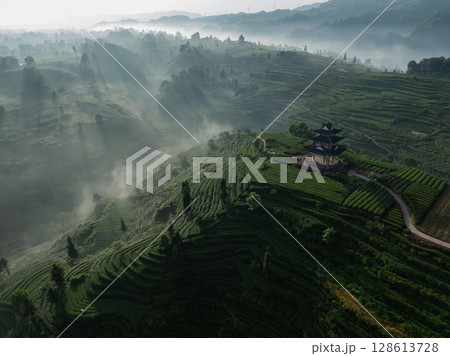 Aerial view of beautiful tea terrace landscape in China Aerial view of beautiful tea terrace landscape in China 128613728