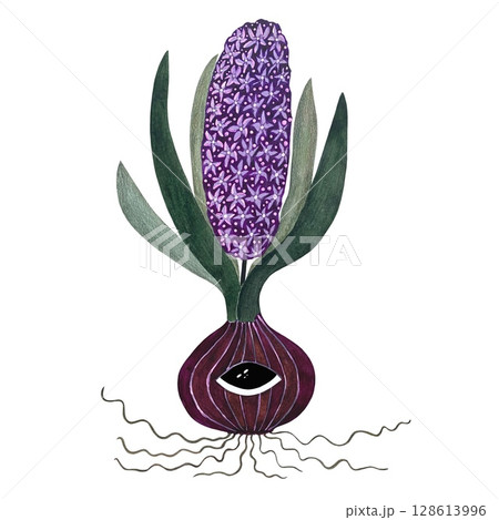 A watercolor illustration of a stylized hyacinth bulb with a purple flower, green leaves, and a single eye on a white background. This imaginative and artistic design blends nature with surreal 128613996