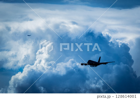 夏の積乱雲を背景に飛ぶ飛行機 夏の積乱雲を背景に飛ぶ飛行機 128614001